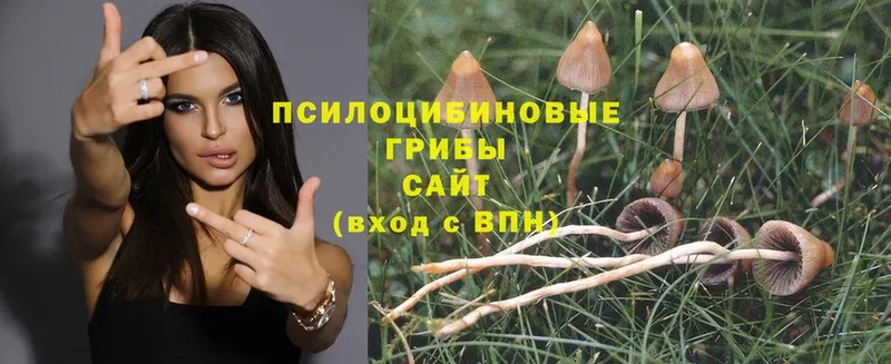 Псилоцибиновые грибы Cubensis  omg ТОР  Лукоянов  это официальный сайт  наркошоп 